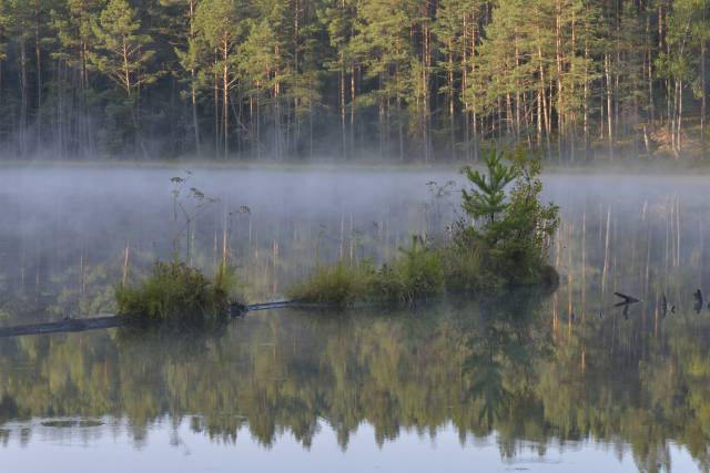 Ścieżka przyrodnicza "Krutyń - Rosocha"