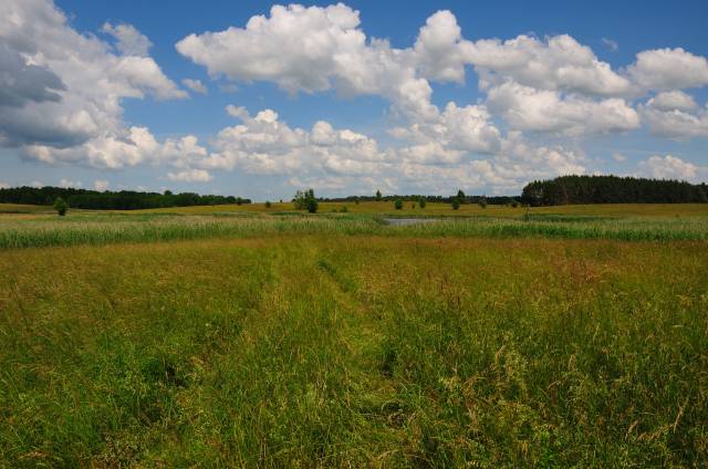 "Lake Łuknajno Area" nature trail