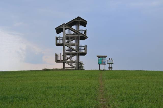 Aussichtstürme am Łuknajno-See 3